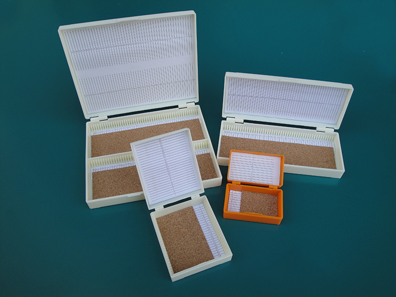 Microscope Slides Storage Box